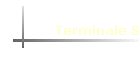 Terminale S