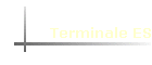 Terminale ES
