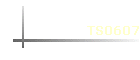 TS0607